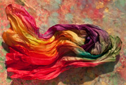 images/album/4a.jpg